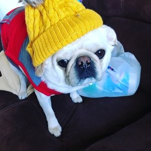 Meet your Posher, Lily